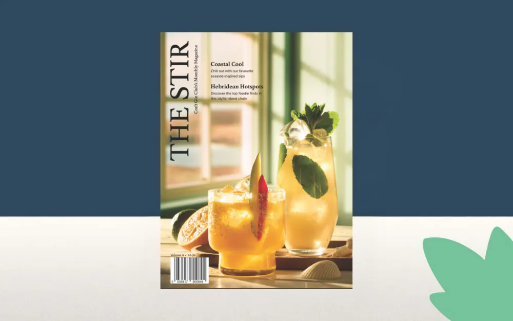 The Stir Magazine July 2025