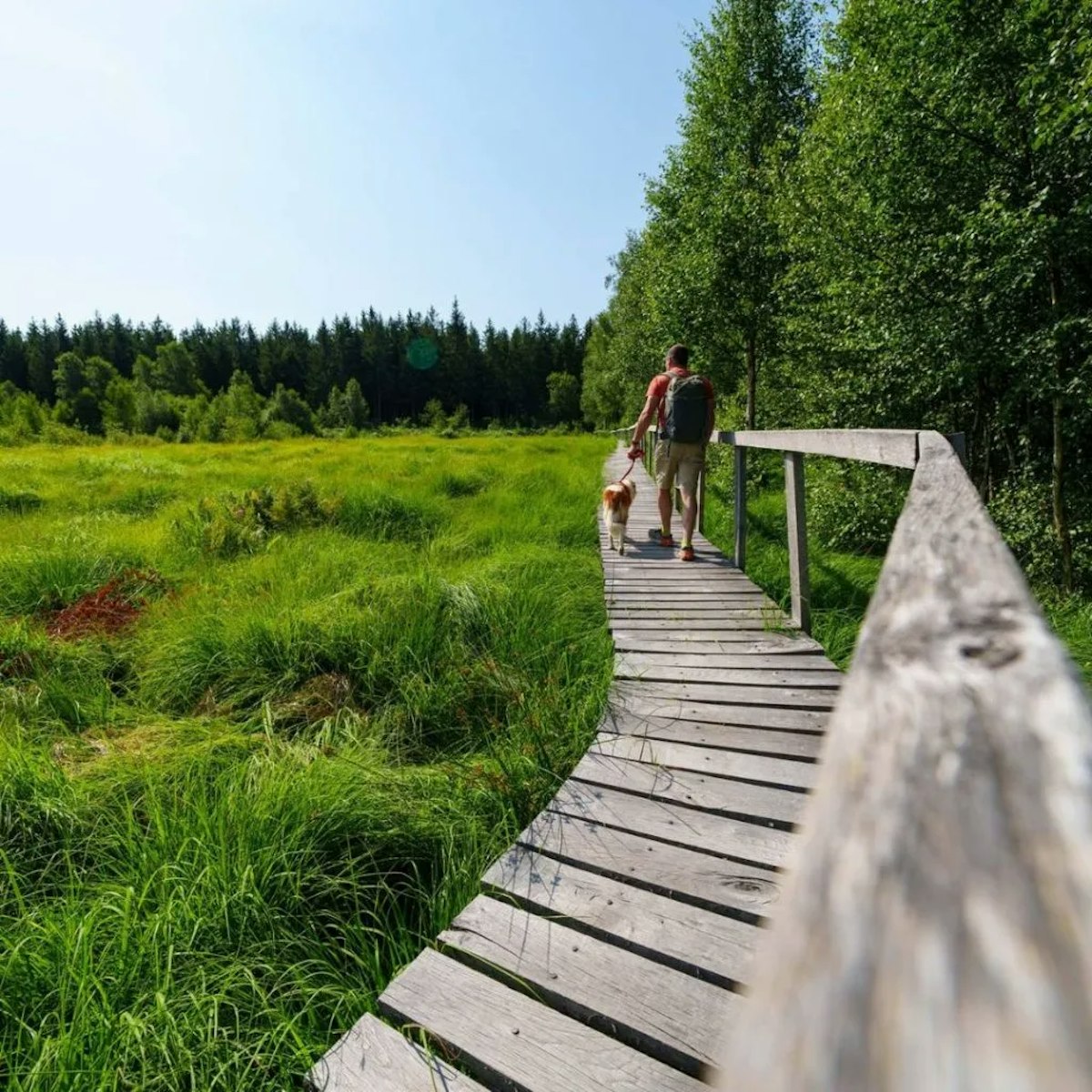 Wandelen