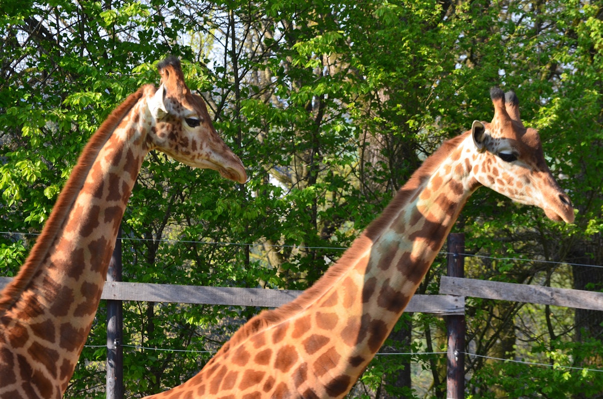 Dierenpark van Bouillon