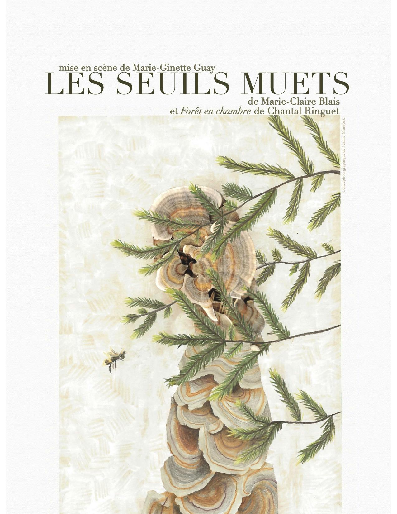 Les seuils muets 2022