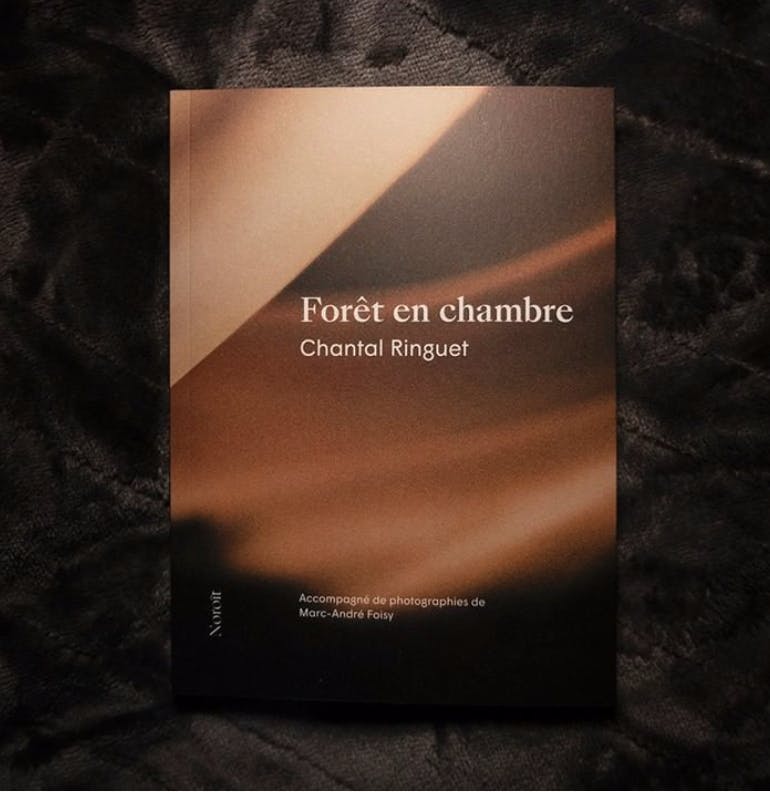 Forêt en chambre (photo)