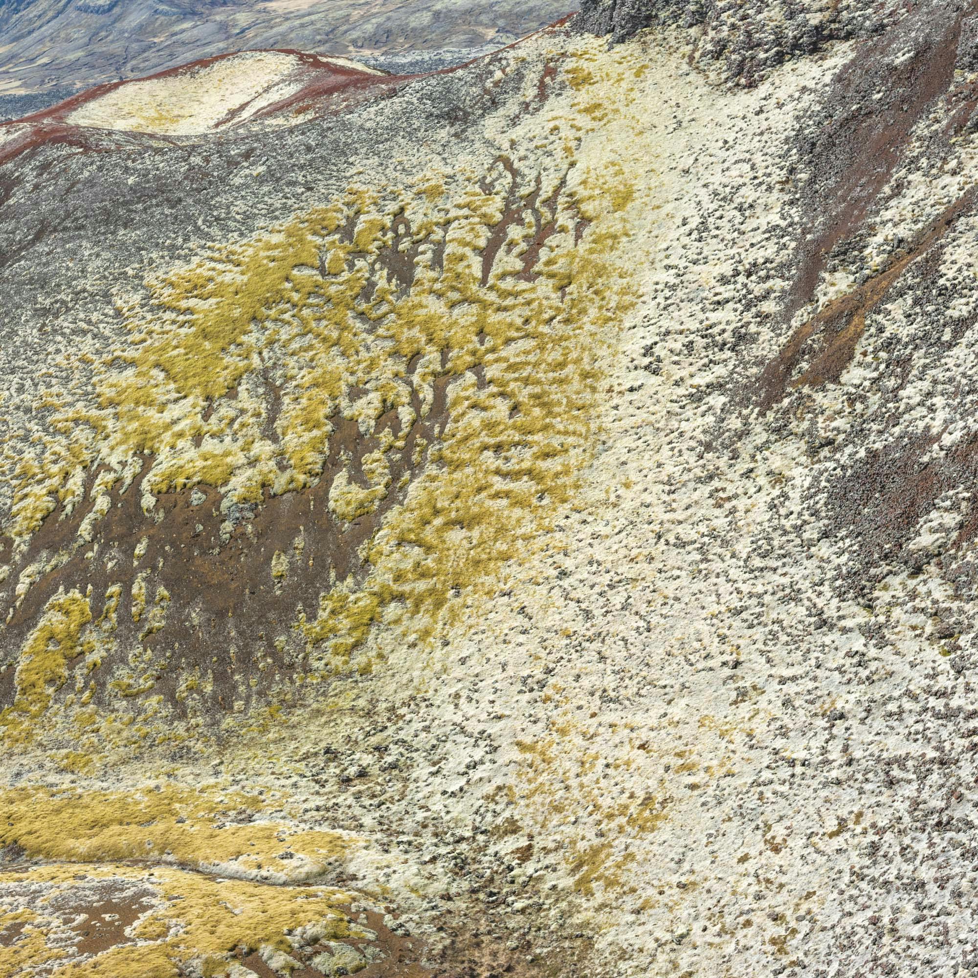 Odyssée 472 Didier Goupy