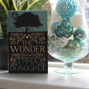 The Wonder