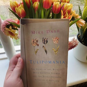 Tulipomania
