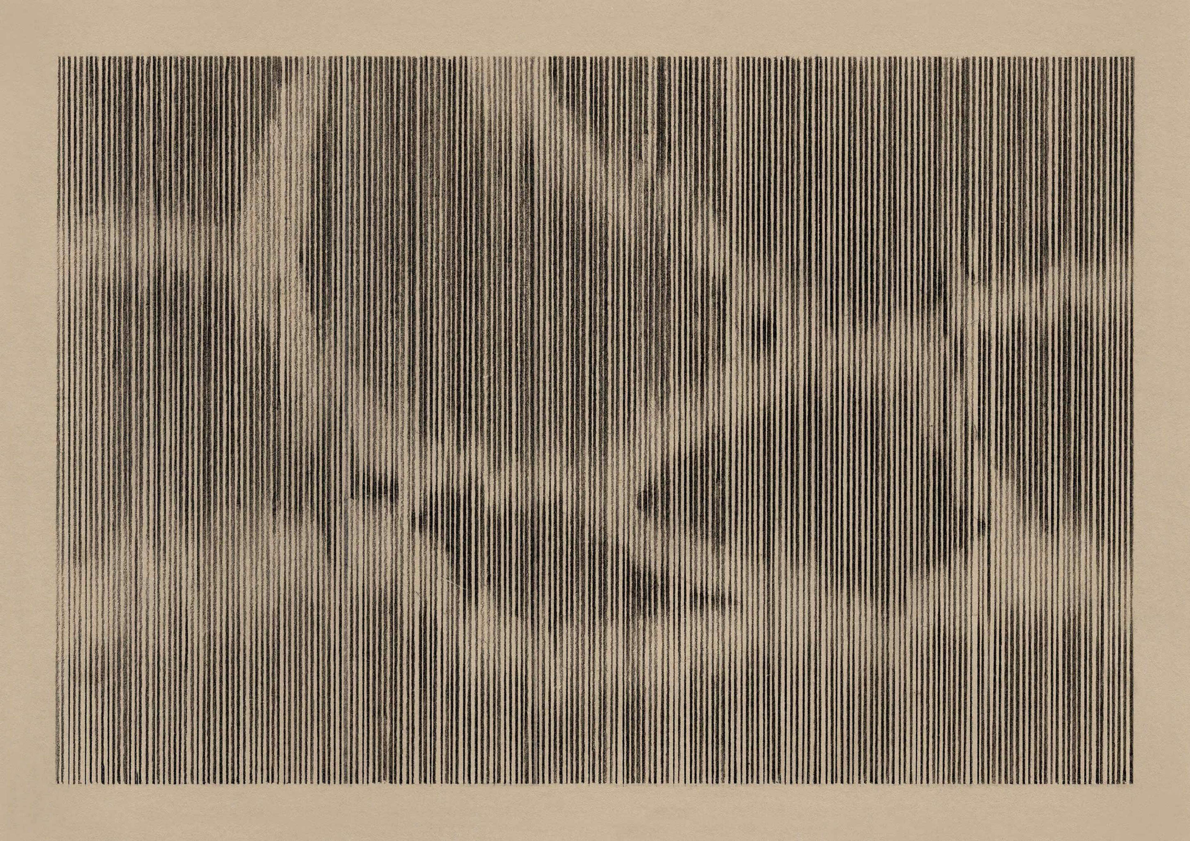 Pencil drawing on natural coloured paper of light and dark vertical lines that form the appearance of a crack. 