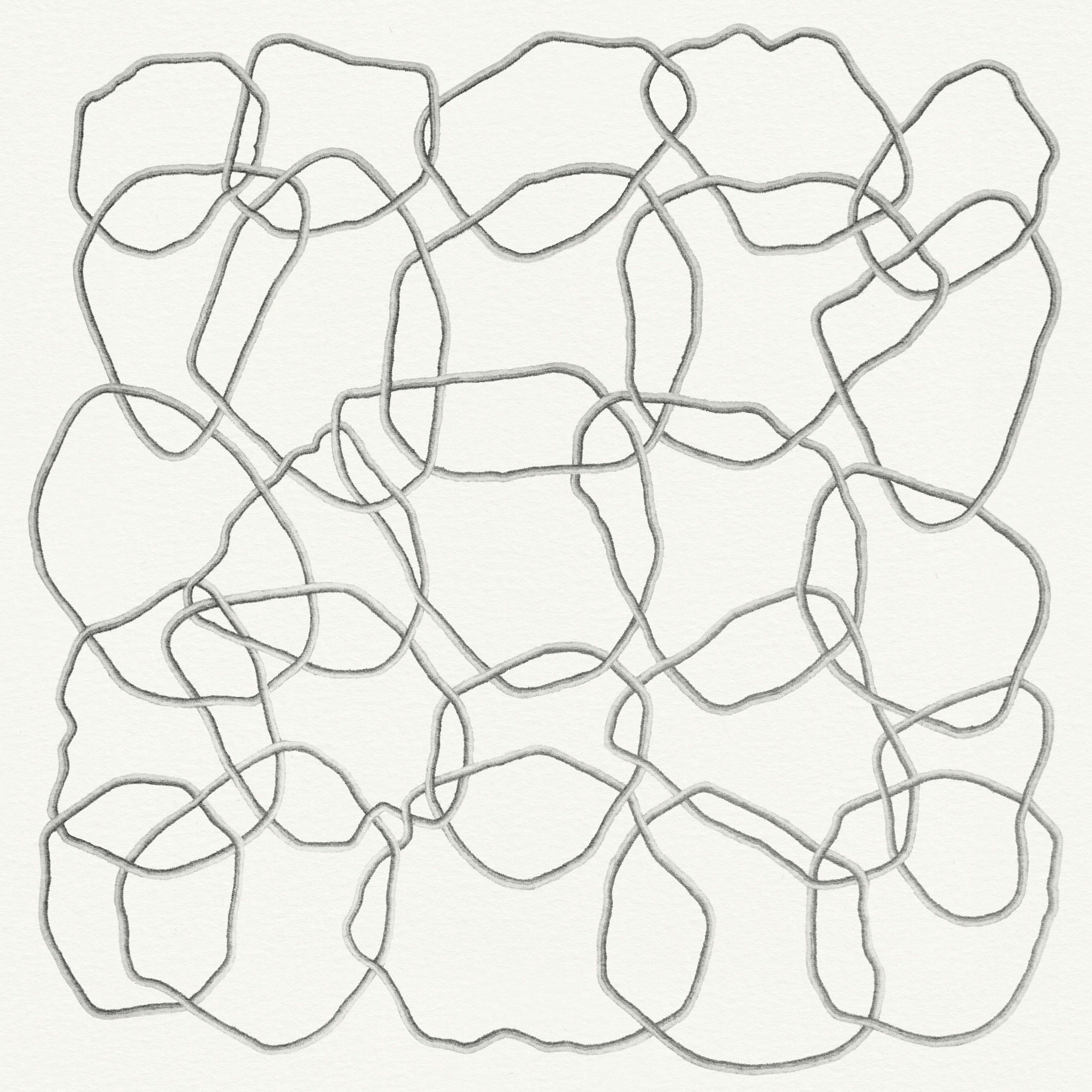 A pencil drawing on white coloured paper of twenty five entangled loop shapes. 