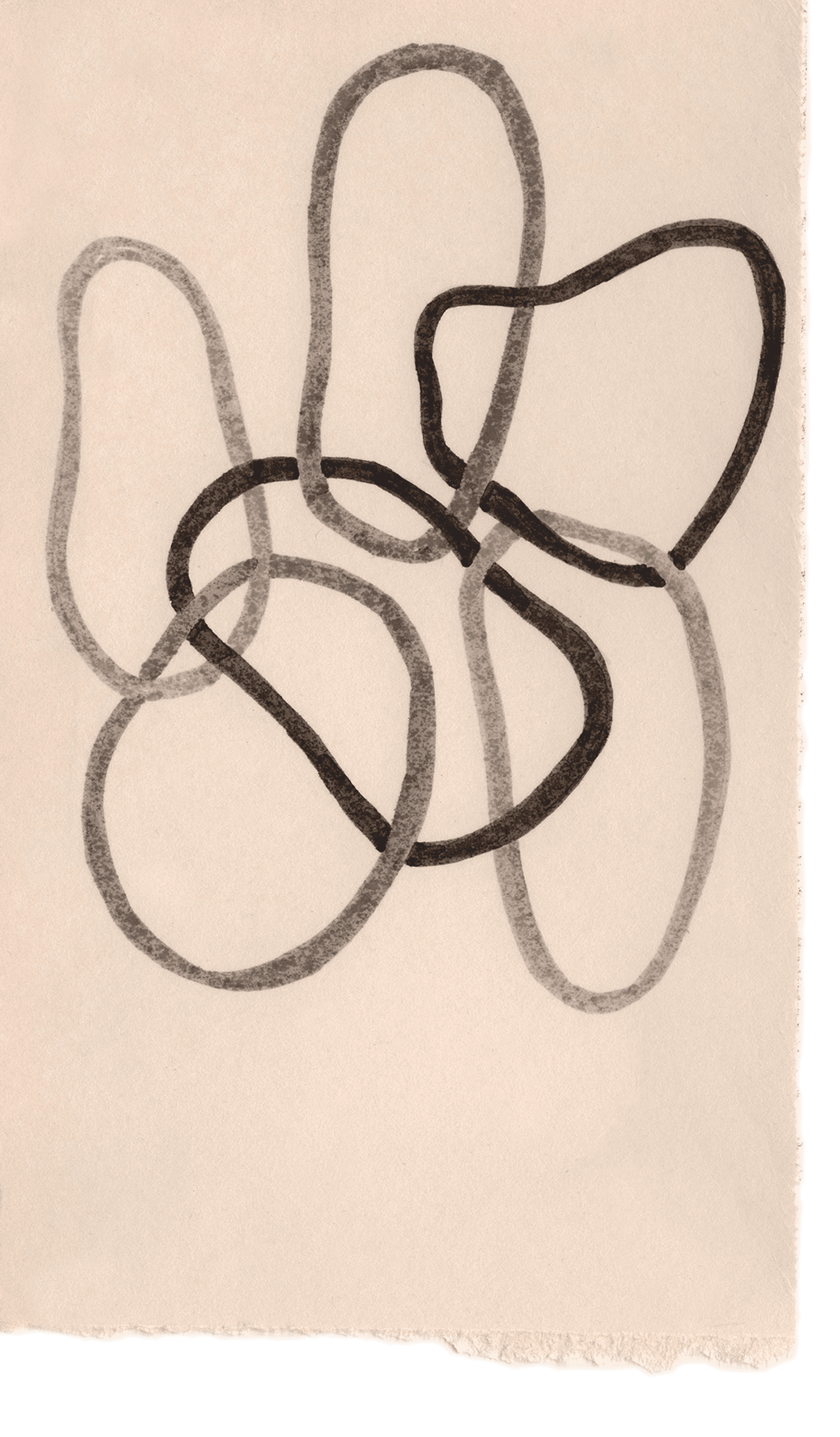 A marker pen drawing on ivory coloured paper of six entangled loop shapes. 