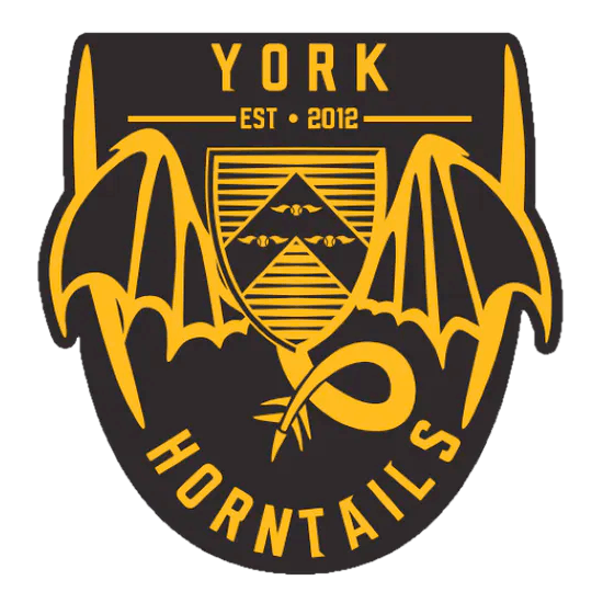 York Horntails logo