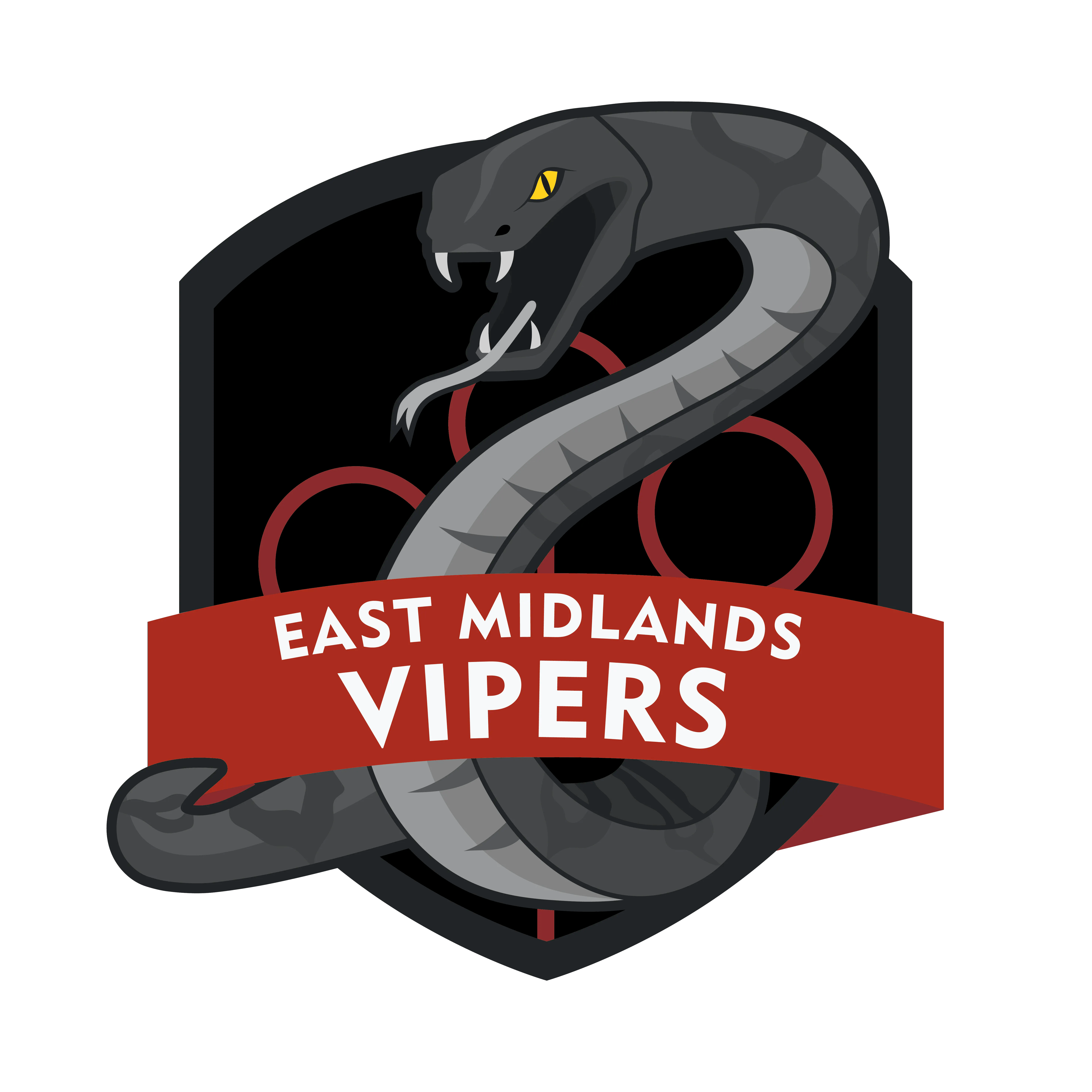East Midlands Vipers logo