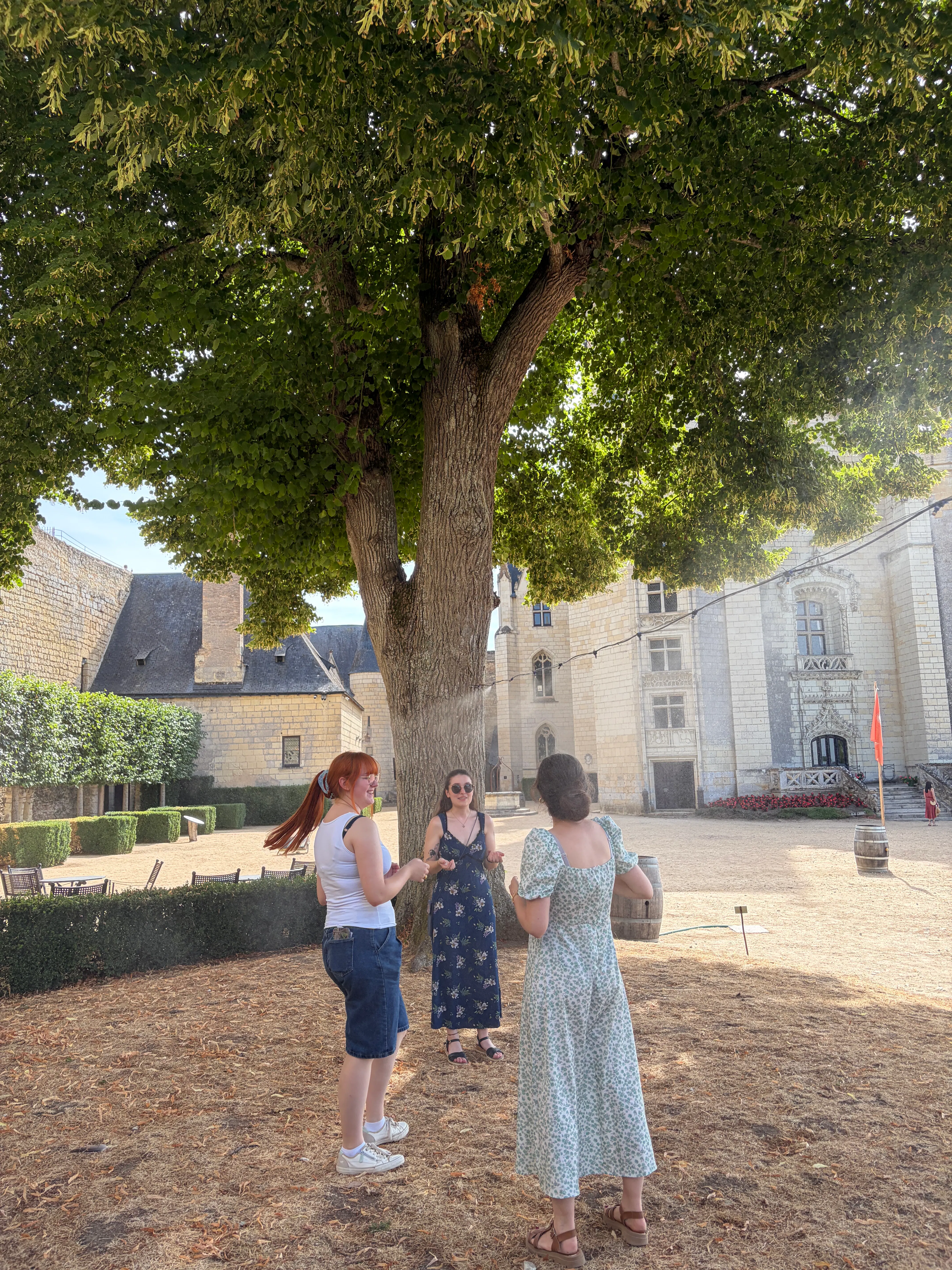Brumisateurs au château de Montreuil-Bellay