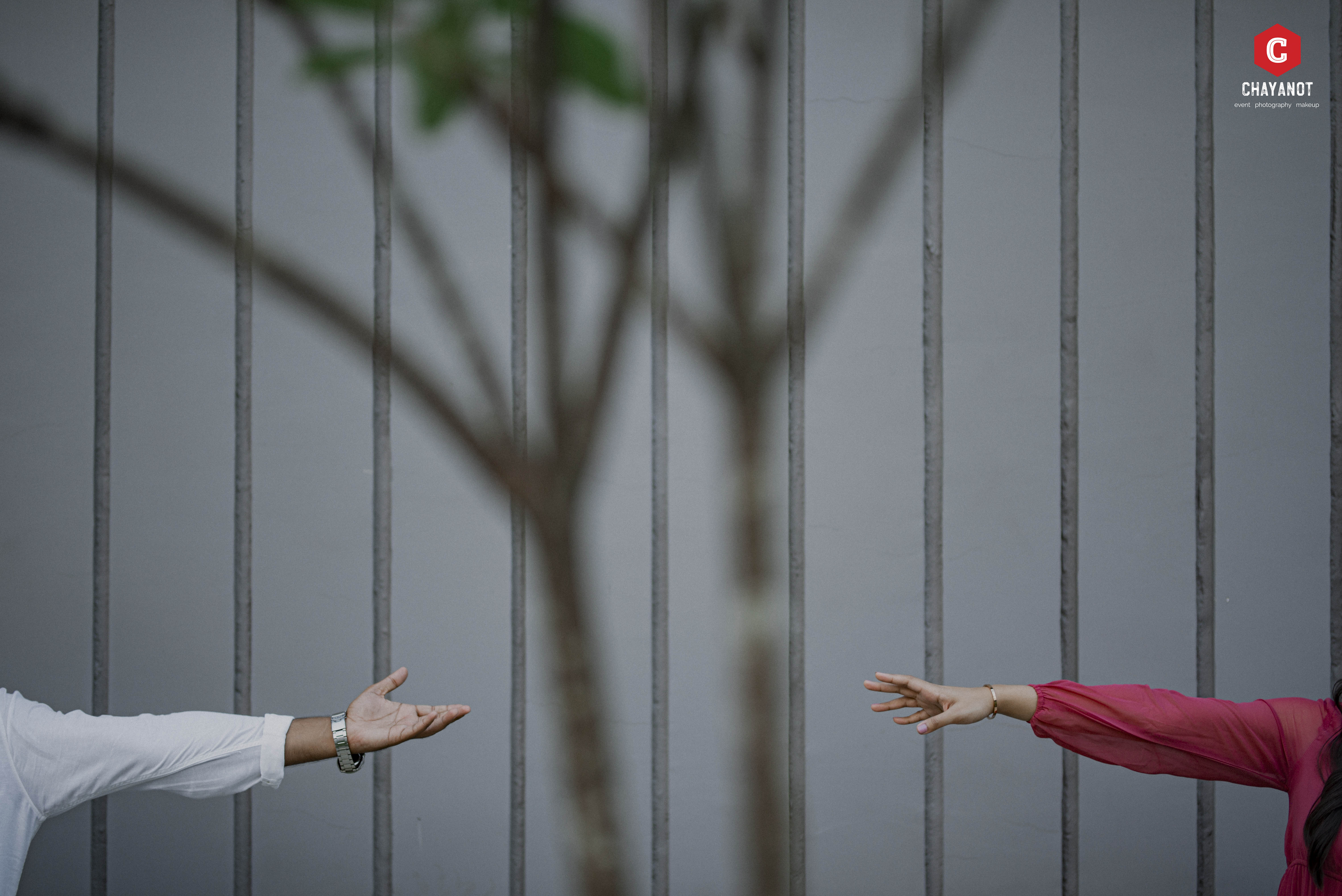 Pre-Wedding Chayanot