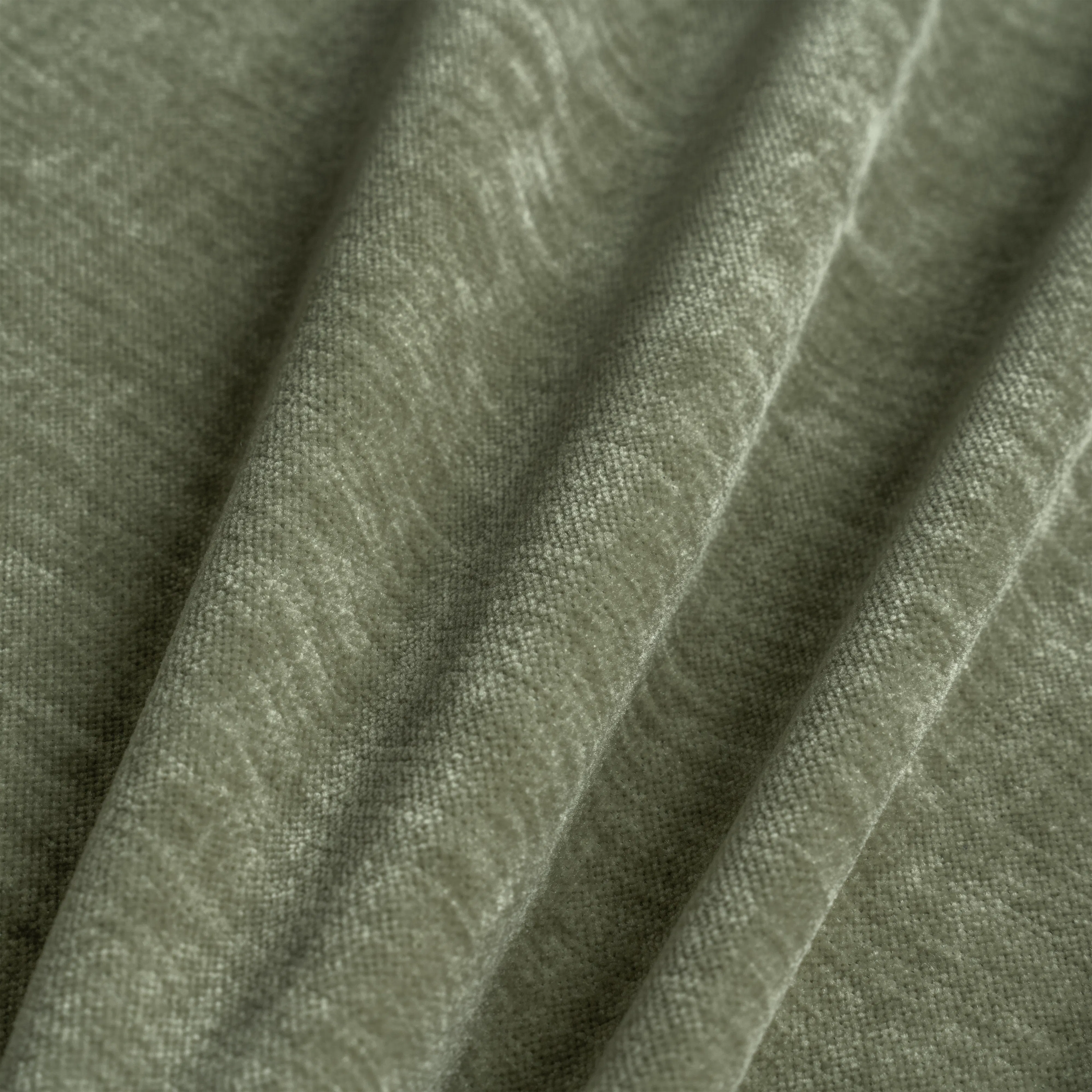 Chenille Fern