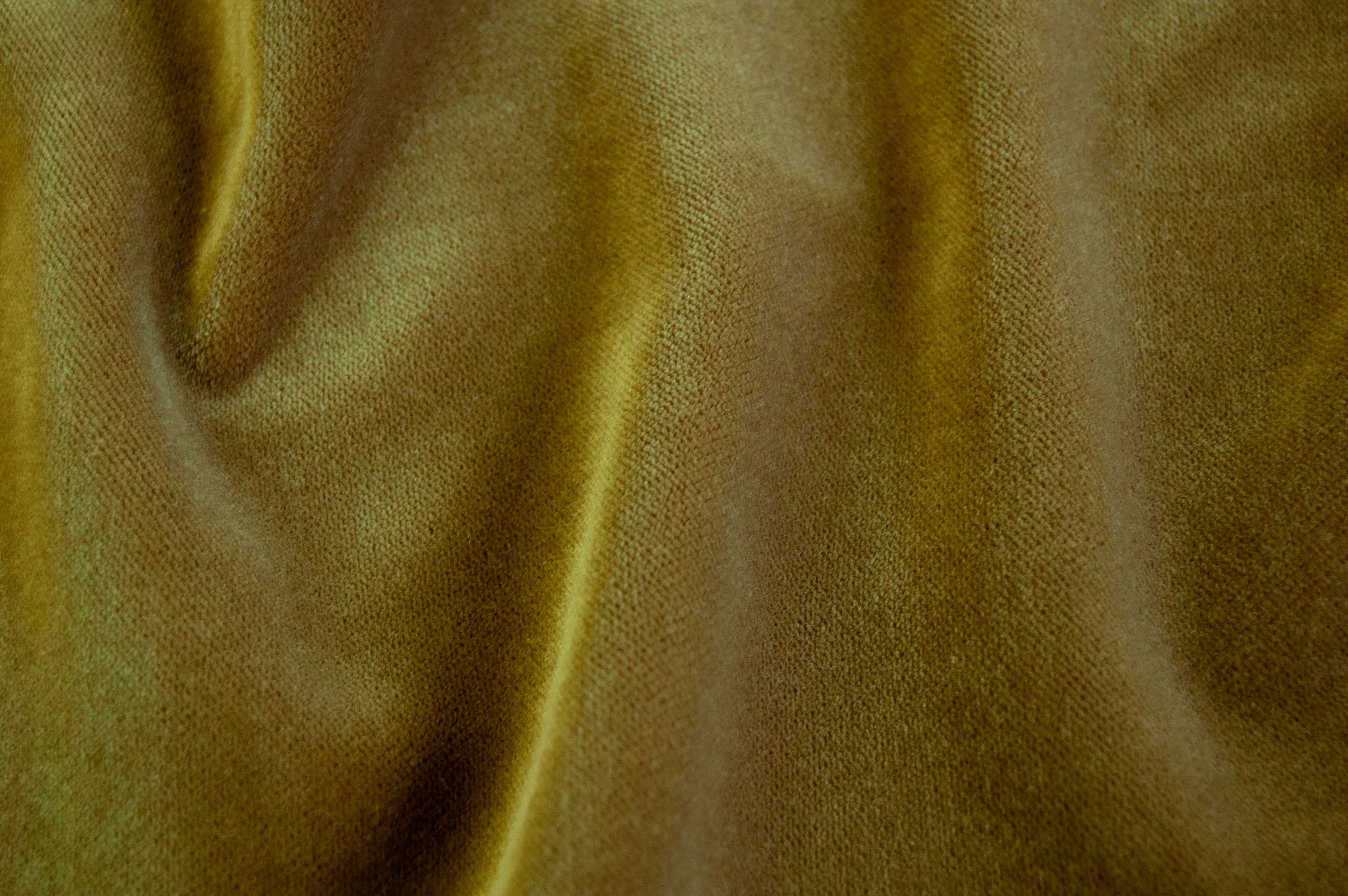 Performance Velvet Lichen