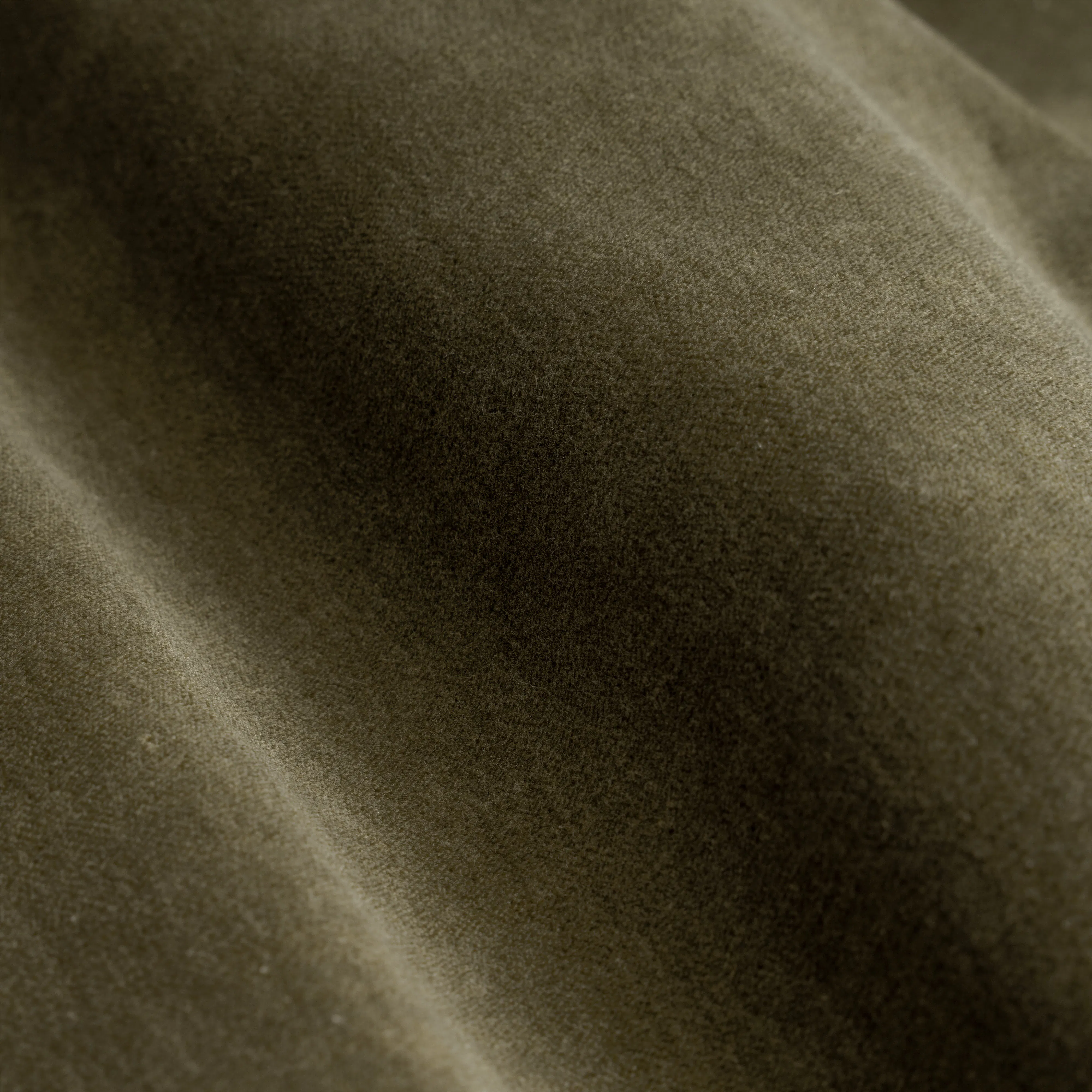 Velvet Olive