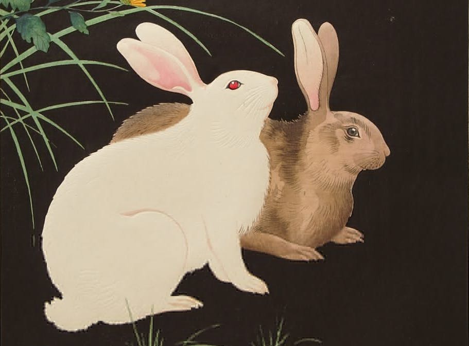 Learn how we set up our Let's Encrypt integration for custom domains using Greenlock, Vue.js, and AWS EC2.