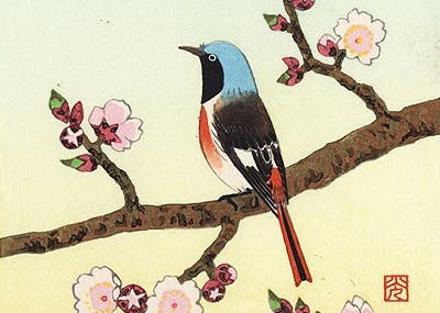 Website Performance with Checkly, Prometheus and Grafana