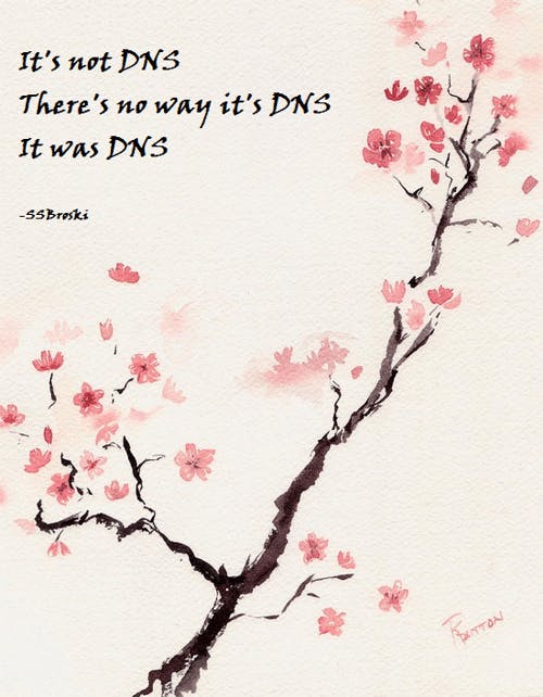 a haiku reading 'It's not DNS, There's no way it's DNS, it was DNS'