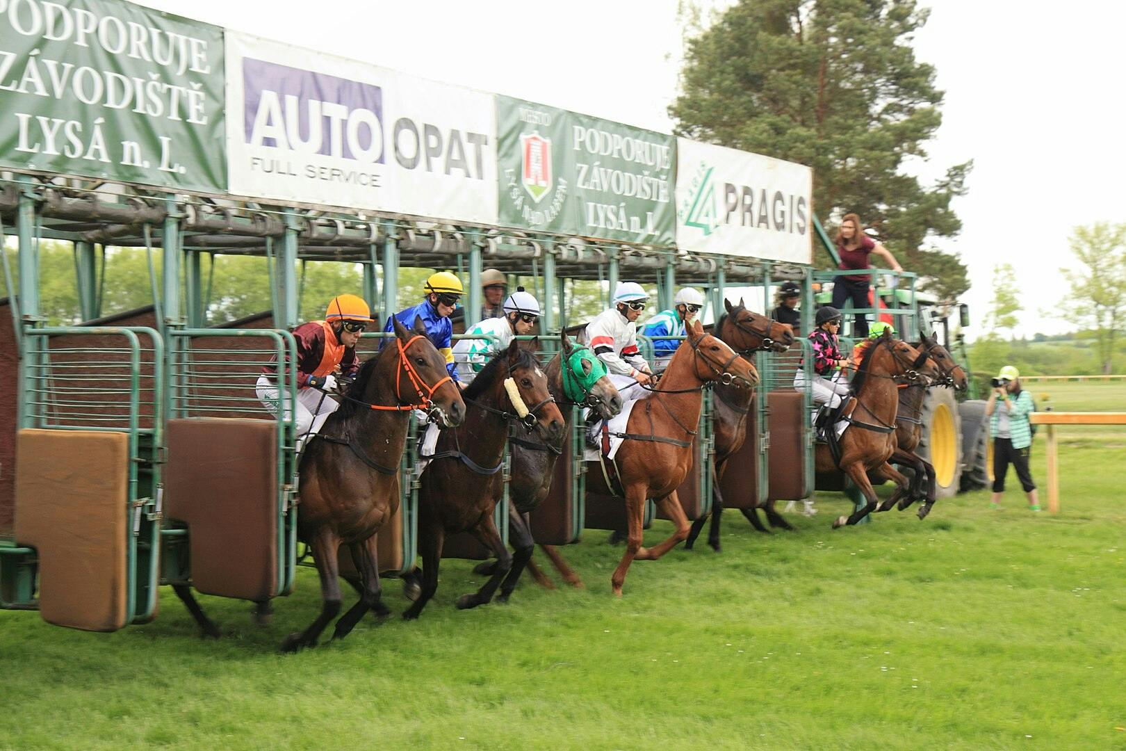 The starting gates of a horse race, By Petr Kadlec - Own work, CC BY-SA 4.0, https://commons.wikimedia.org/w/index.php?curid=70910978