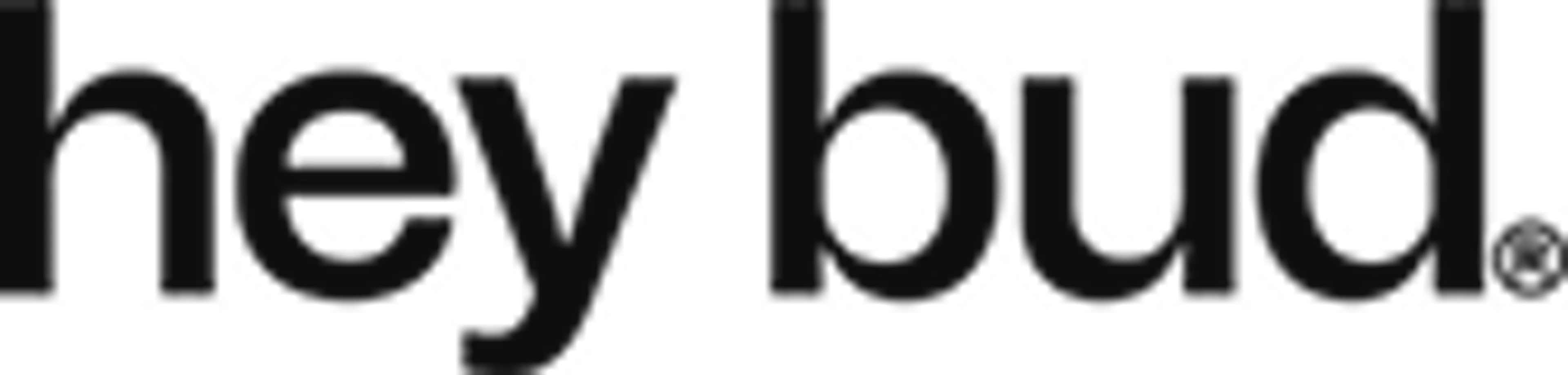 Hey bud logo