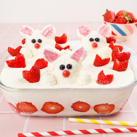 Le fraisier lapinou