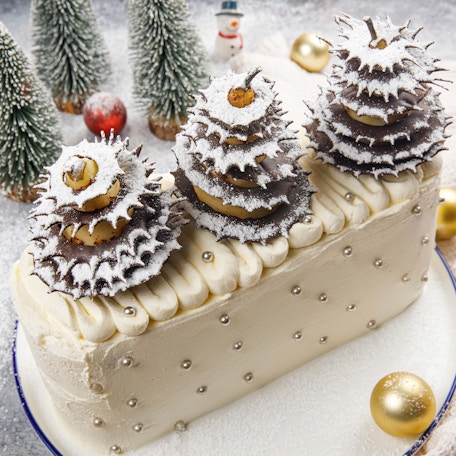 Bûche tiramisu de Noël