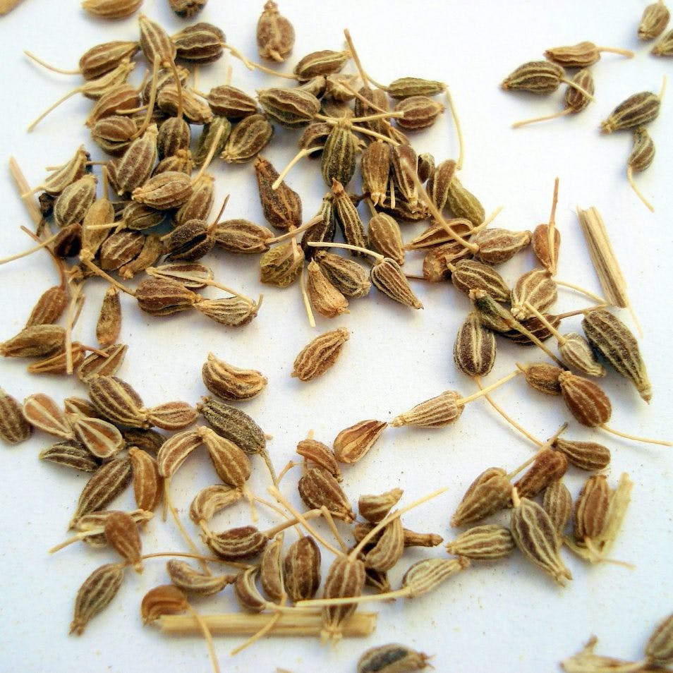 anise