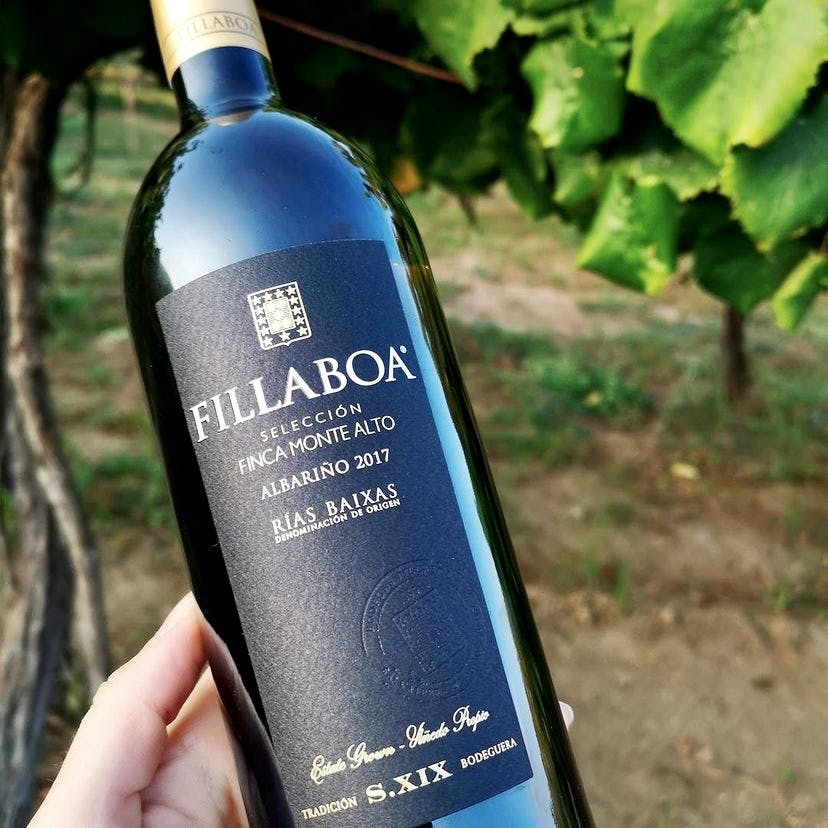White wine, Fillaboa, Seleccion Finca Montealto