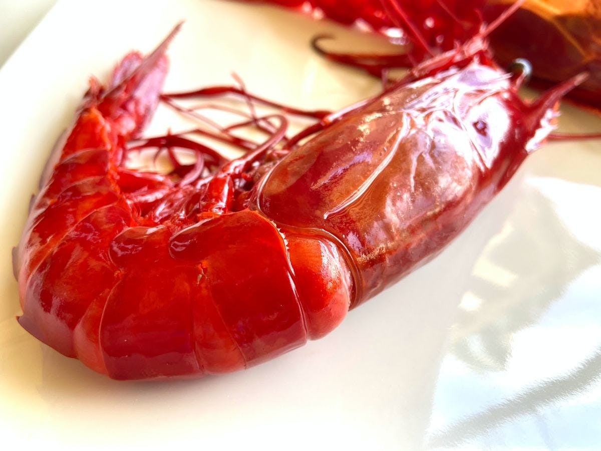Red Shrimp or "Carabinero". Discover the flavours of the Spanish Sea