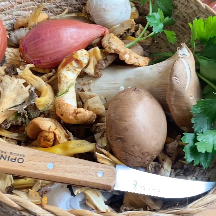 Knife and bascket of mushrooms