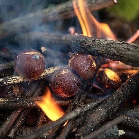 Roast Chestnuts