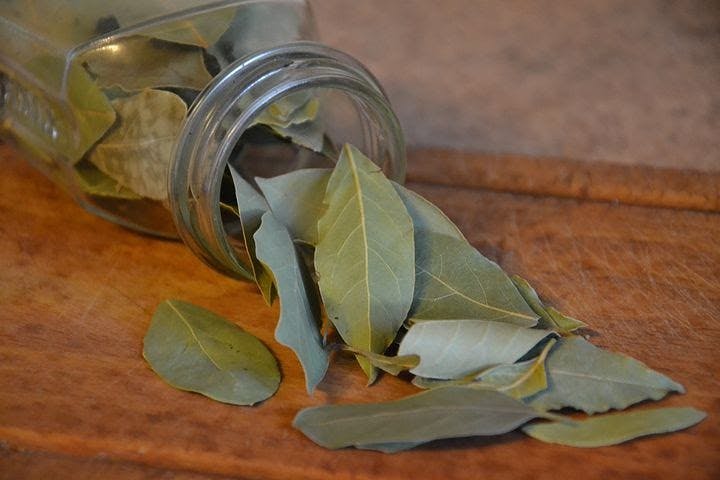 Bay Leaf spanish ingredient