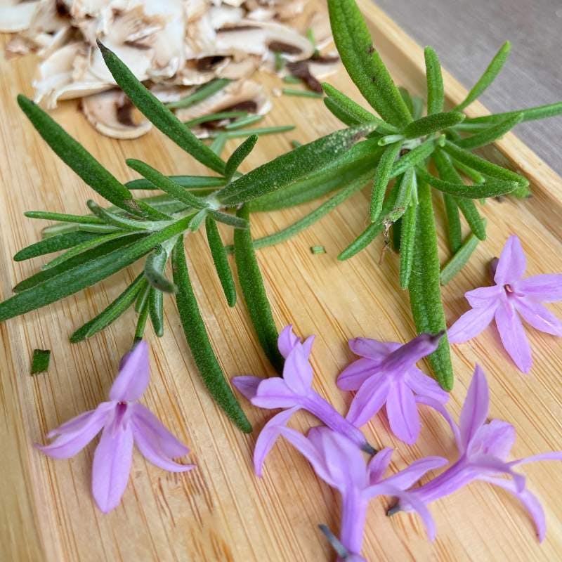 Garlic flowers