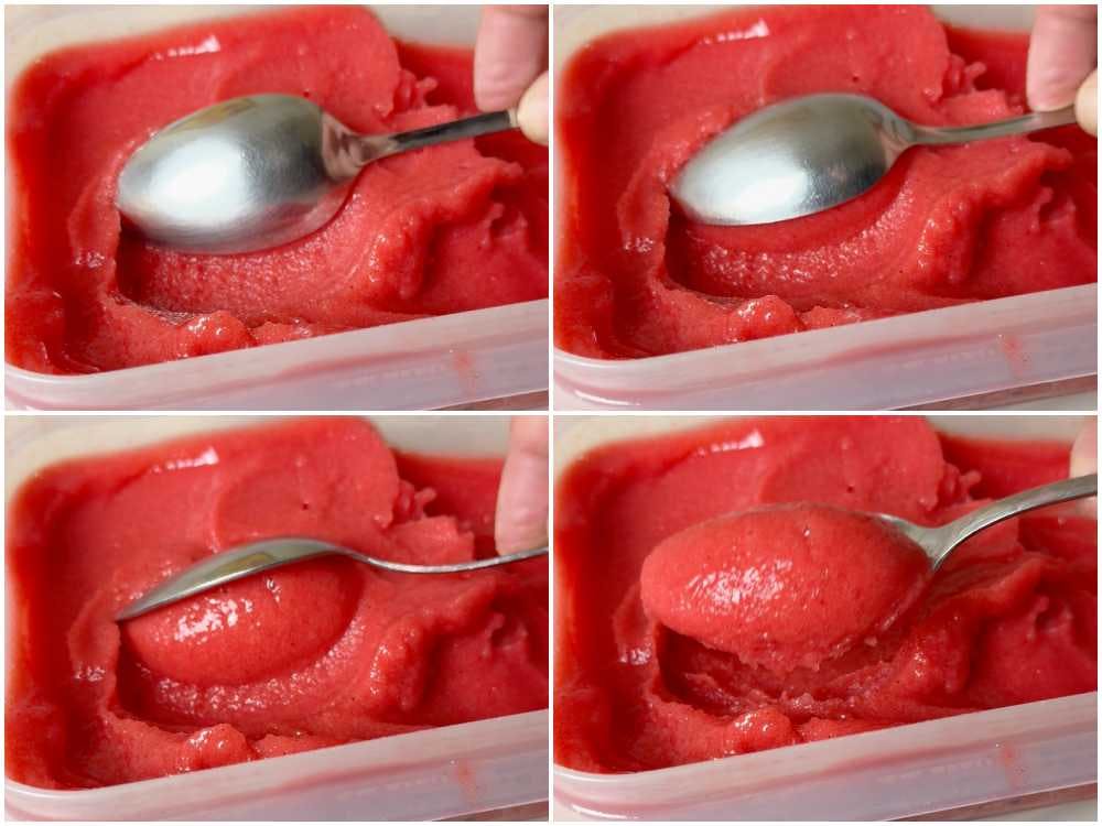 collage serving sorbet