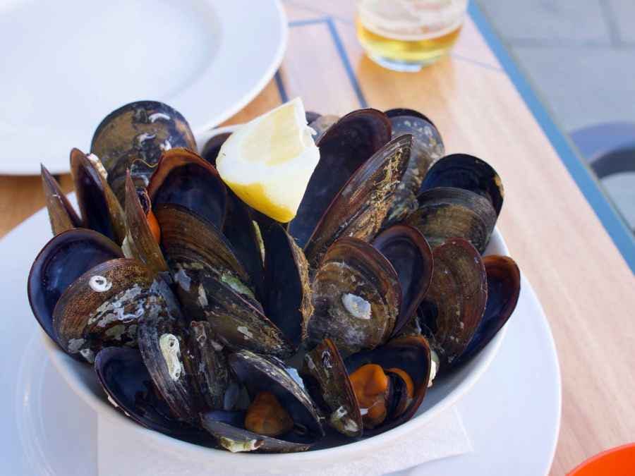 Tapa of mussels