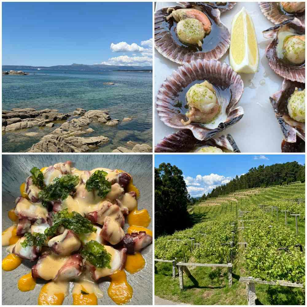 Collage O´Grove gastronomy