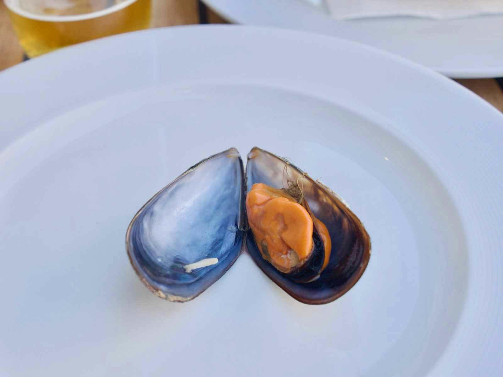 Mussel in a plate