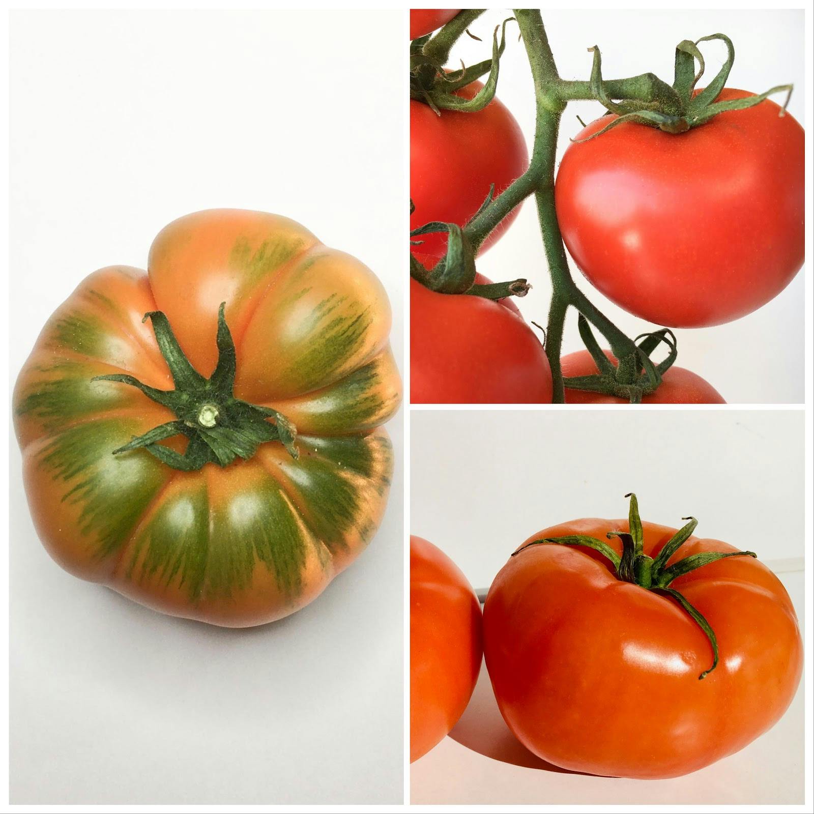 Tomato