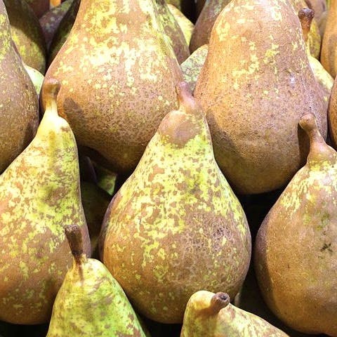 Pears