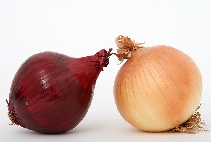 Onion spanish ingredient