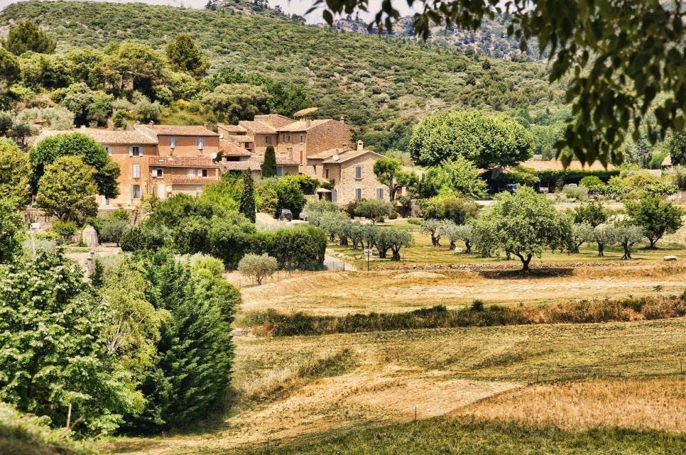 the-mediterranean-food-history-and-mix-of-cultures-chef-h-delgado