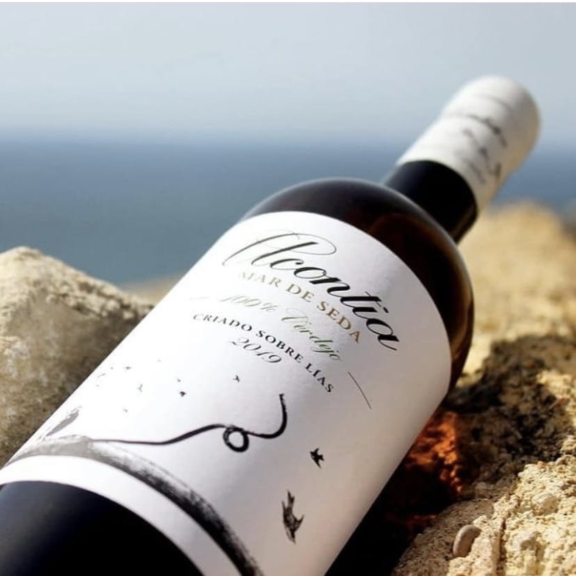 White wine, Acontia Mar de Seda