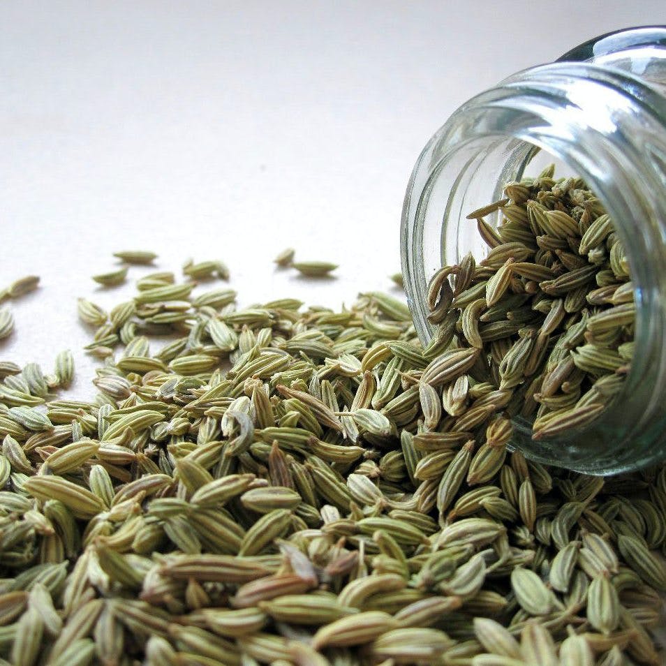 fennel seed