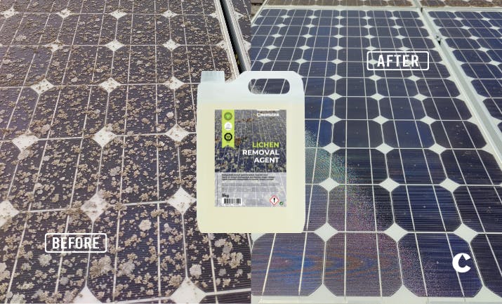 Before and after using LRA to remove lichens from solar panels