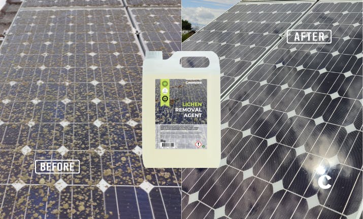 Esquerda: Painel solar contaminado com líquenes |Direita: Painel solar limpo após a aplicação do LRA