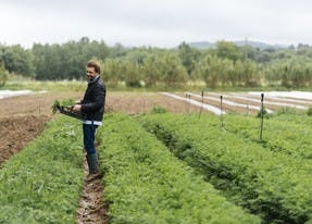 Chef Arnaud Donckele, un artisan du goût