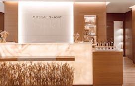 SPA HOTEL CHEVAL BLANC (2017) Courchevel, France – NEWMAT Stretch Ceiling &  Wall Systems