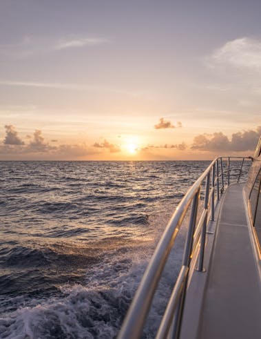 Magical cruise under the stars