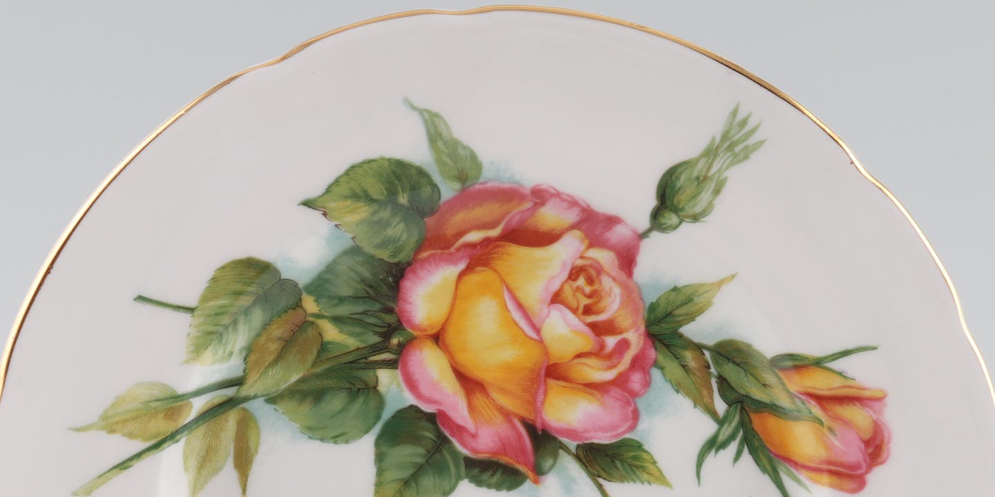 Harry Wheatcroft Roses – Peace