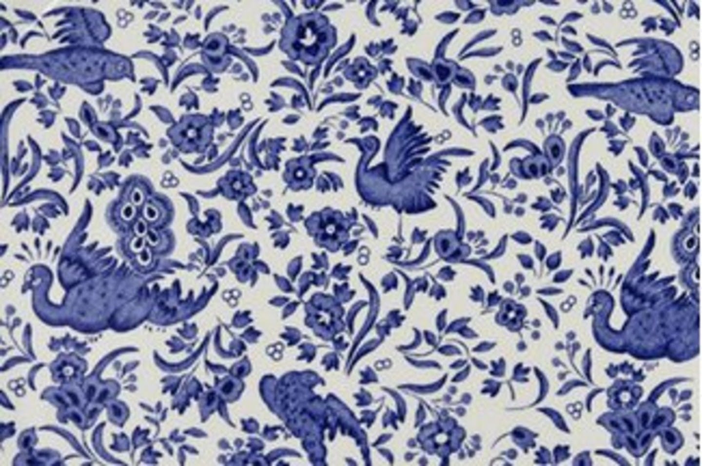 Blue Regal Peacock