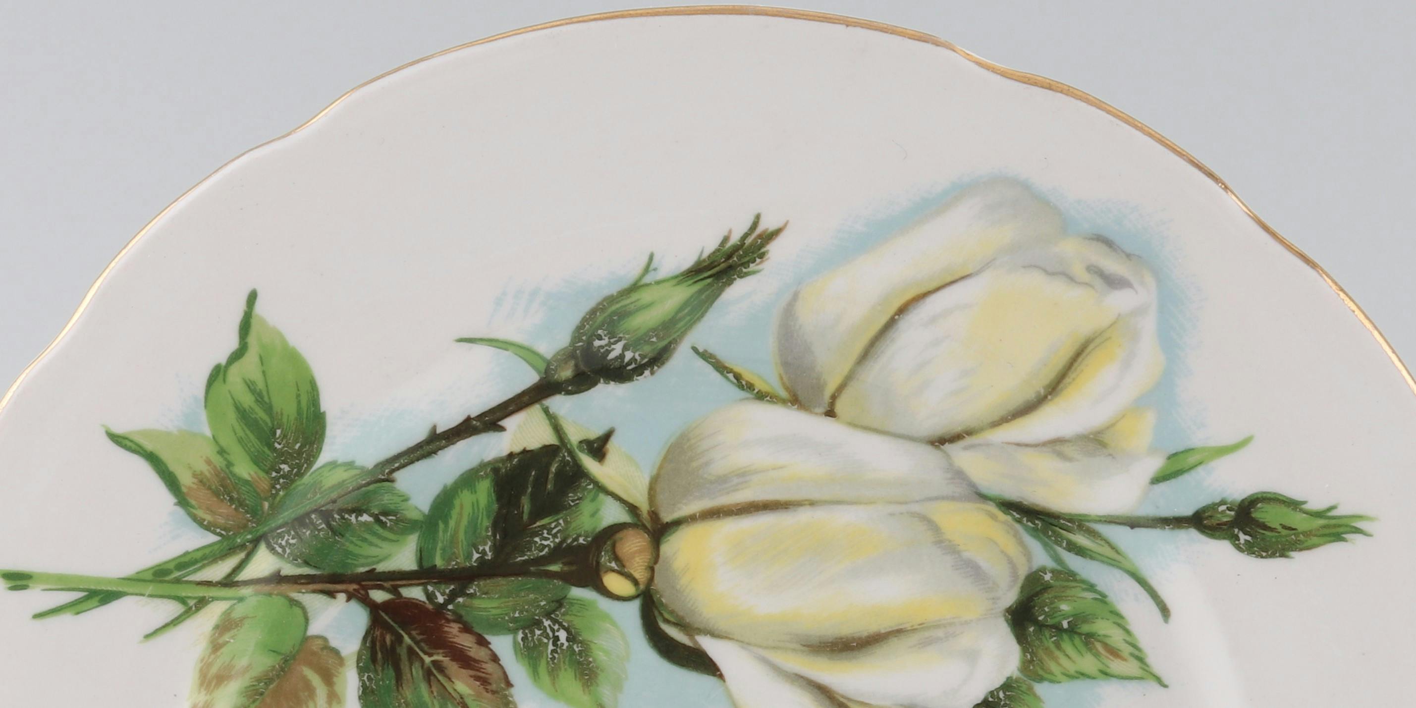 Harry Wheatcroft Roses Virgo